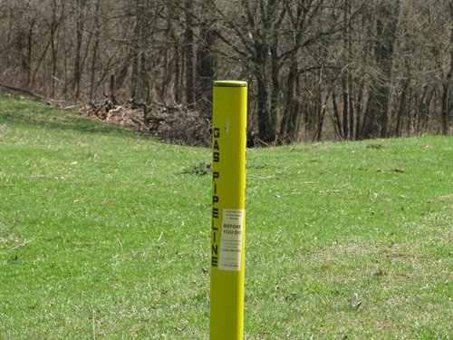 Property photo 2 - 137 Acres in 2 Tracts - 64 Tillable Acres, Potential Building Sites, Hunting